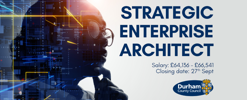 Strategic Enterprise Architect