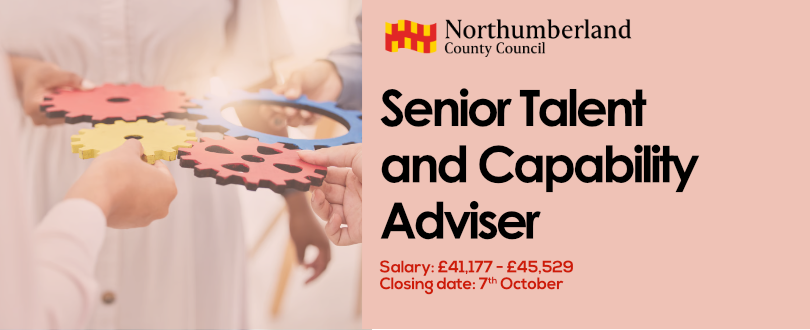 Senior Talent & Capability Adviser