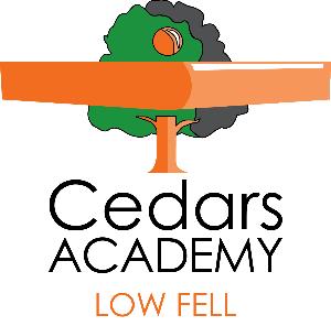 Organisation Logo