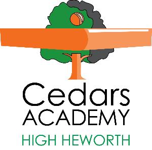 Organisation Logo