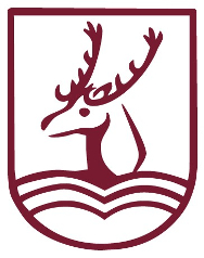 Organisation Logo